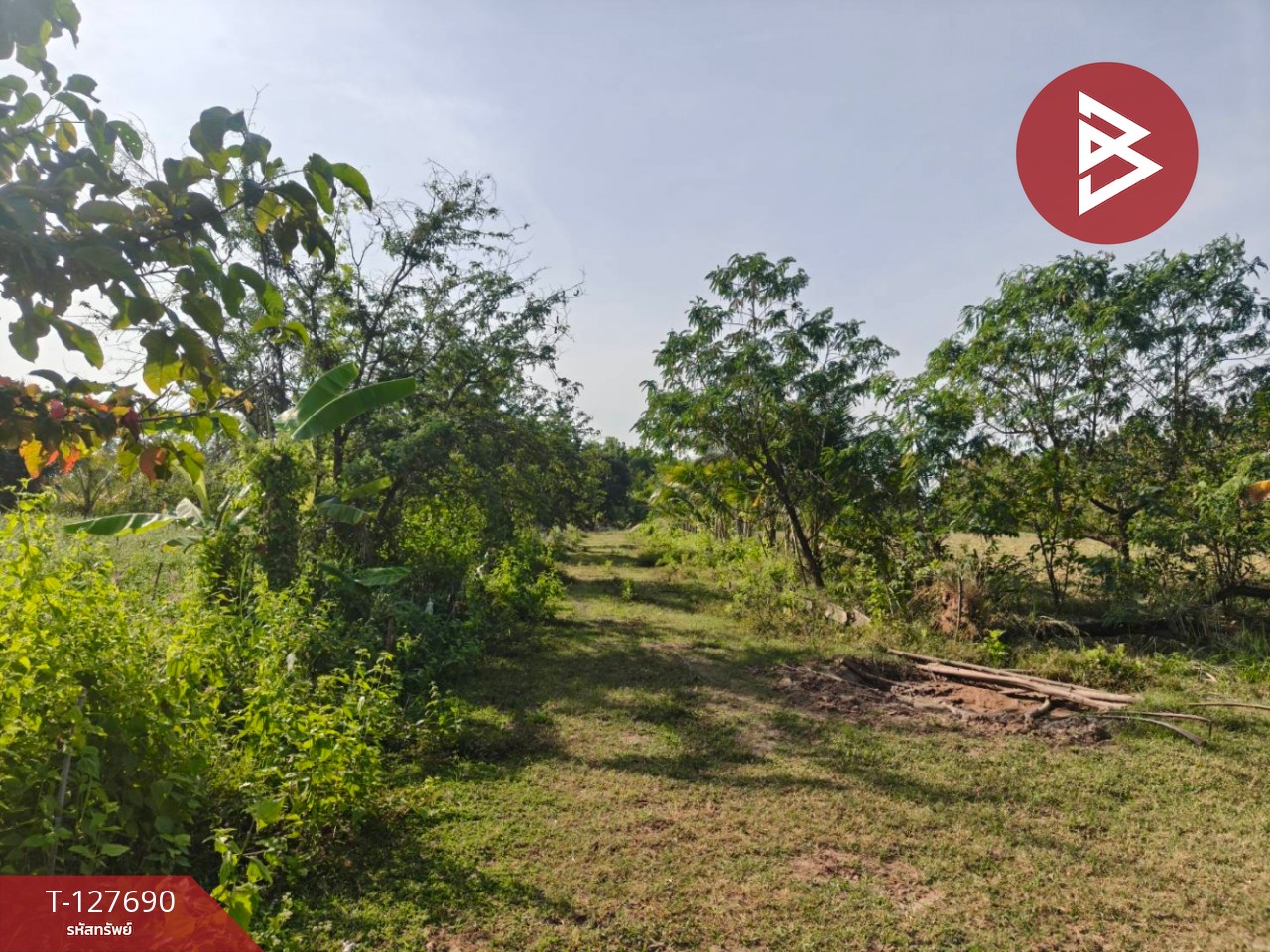 ขายที่ดินพร้อมสวน เนื้อที่ 30 ไร่ 3 งาน 86 ตร.วา หล่มสัก เพชรบูรณ์ 13