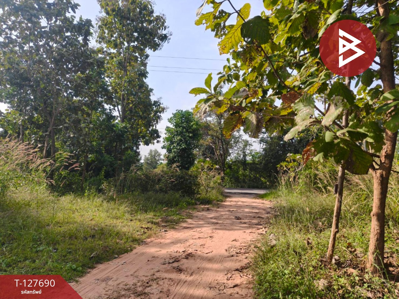 ขายที่ดินพร้อมสวน เนื้อที่ 30 ไร่ 3 งาน 86 ตร.วา หล่มสัก เพชรบูรณ์ 15