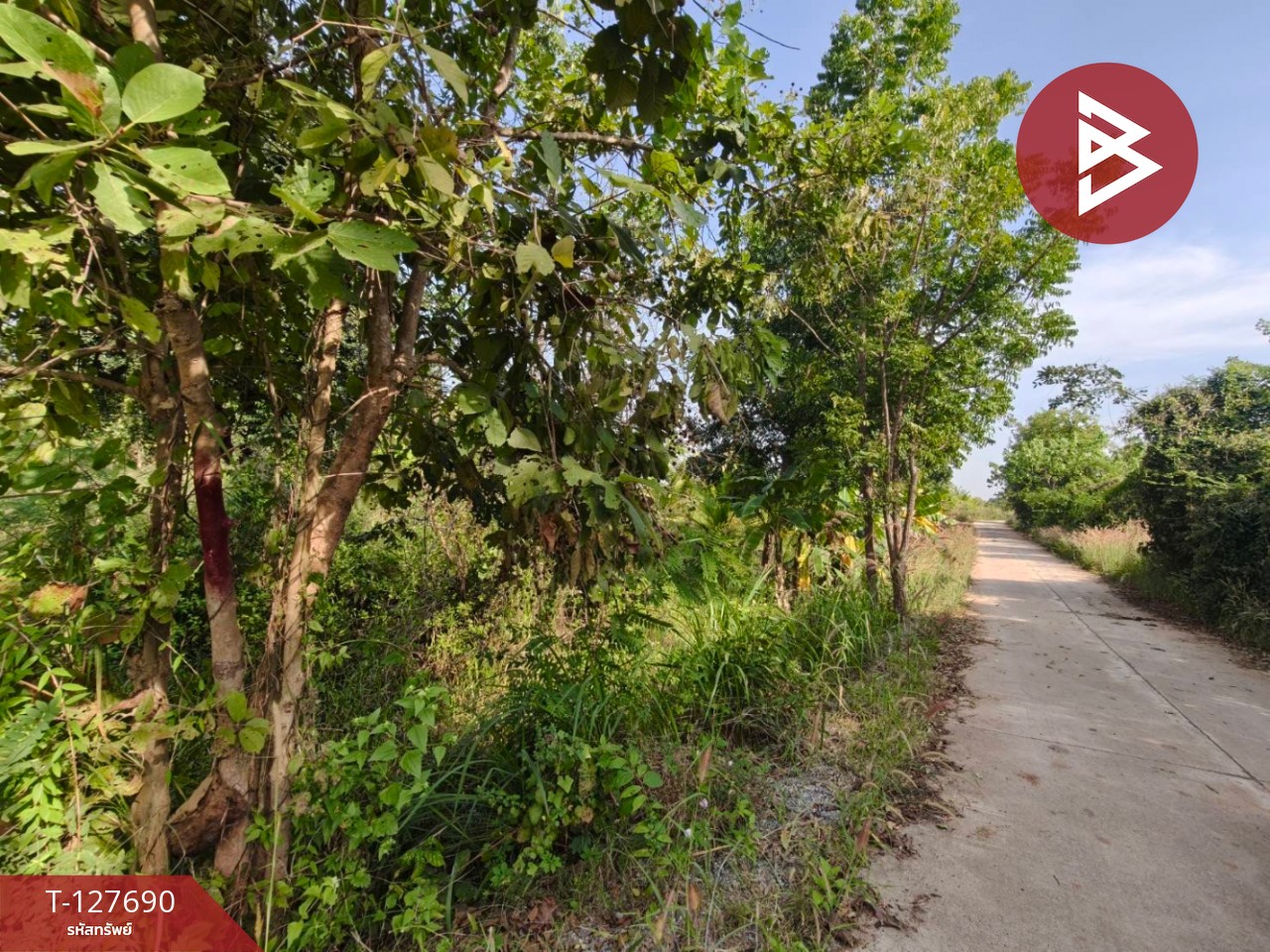 ขายที่ดินพร้อมสวน เนื้อที่ 30 ไร่ 3 งาน 86 ตร.วา หล่มสัก เพชรบูรณ์ 9