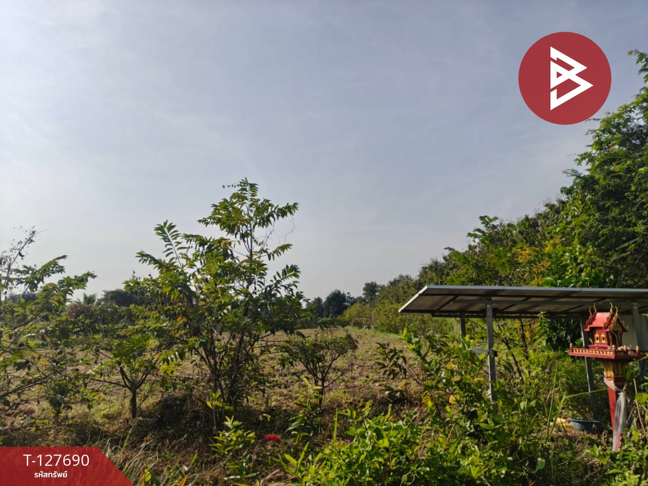 ขายที่ดินพร้อมสวน เนื้อที่ 30 ไร่ 3 งาน 86 ตร.วา หล่มสัก เพชรบูรณ์ 2