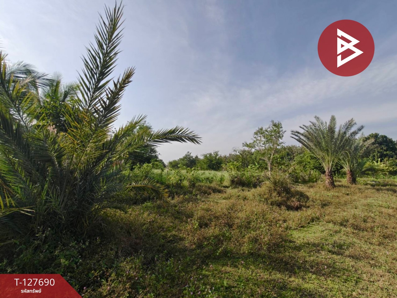 ขายที่ดินพร้อมสวน เนื้อที่ 30 ไร่ 3 งาน 86 ตร.วา หล่มสัก เพชรบูรณ์ 11