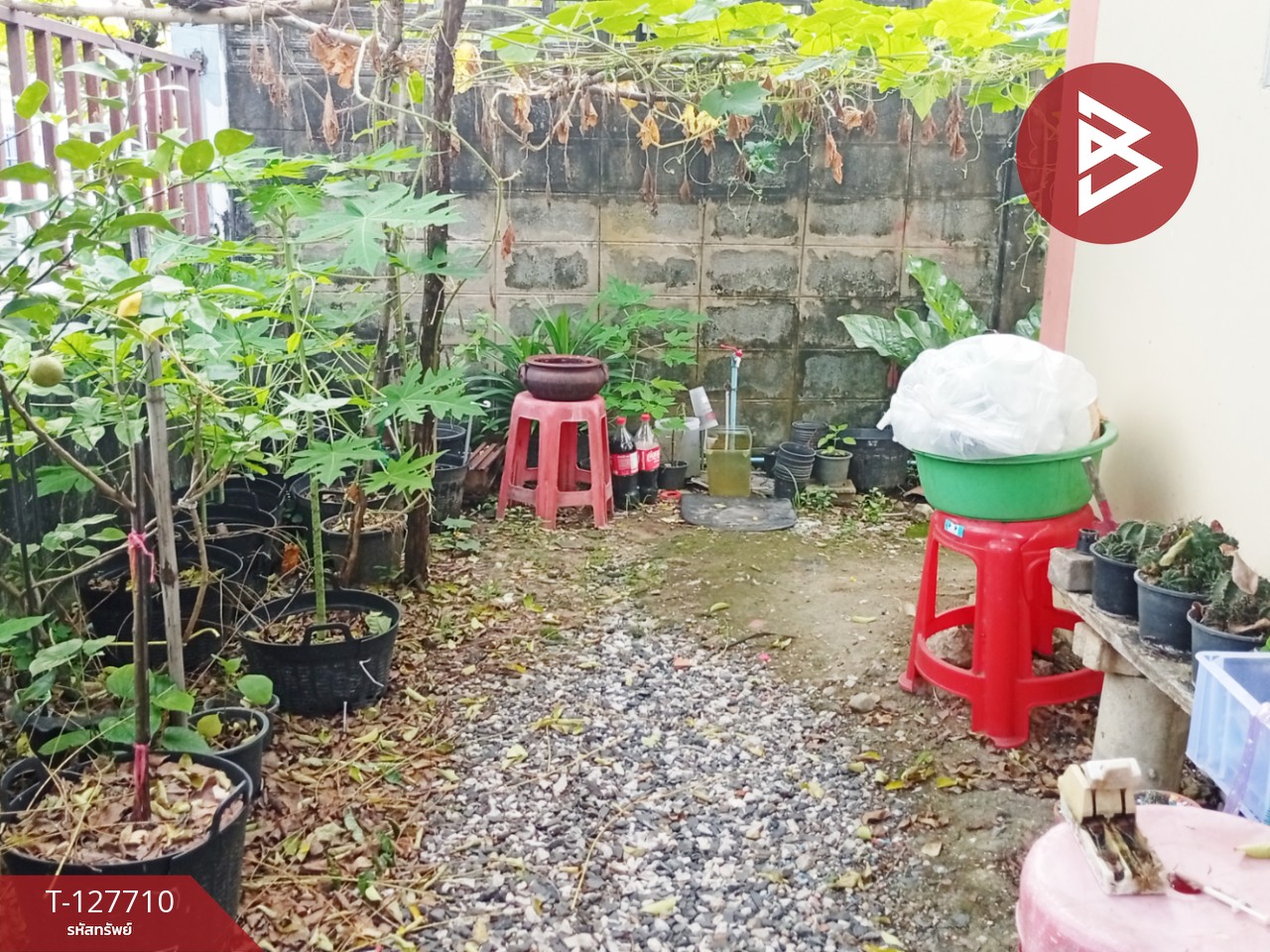 ขายบ้านเดี่ยว หมู่บ้านไปรษณีย์ รามอินทรา กรุงเทพมหานคร 11