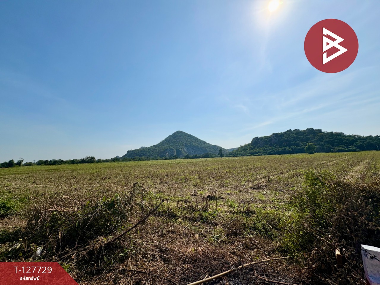 ขายที่ดินแปลงสวย เนื้อที่ 15 ไร่ 3 งาน 39.1 ตร.วา ตาคลี นครสวรรค์ 1