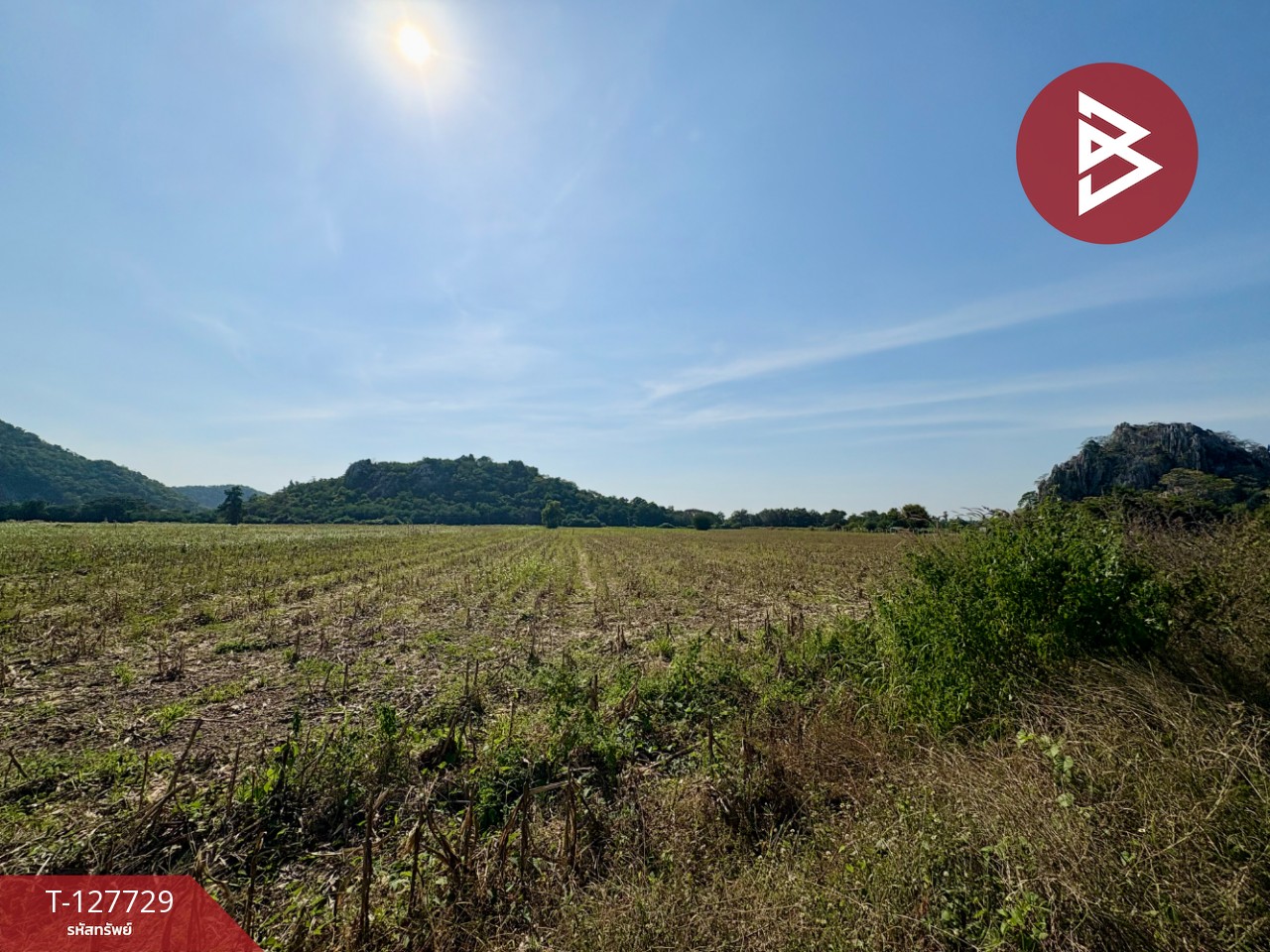 ขายที่ดินแปลงสวย เนื้อที่ 15 ไร่ 3 งาน 39.1 ตร.วา ตาคลี นครสวรรค์ 2