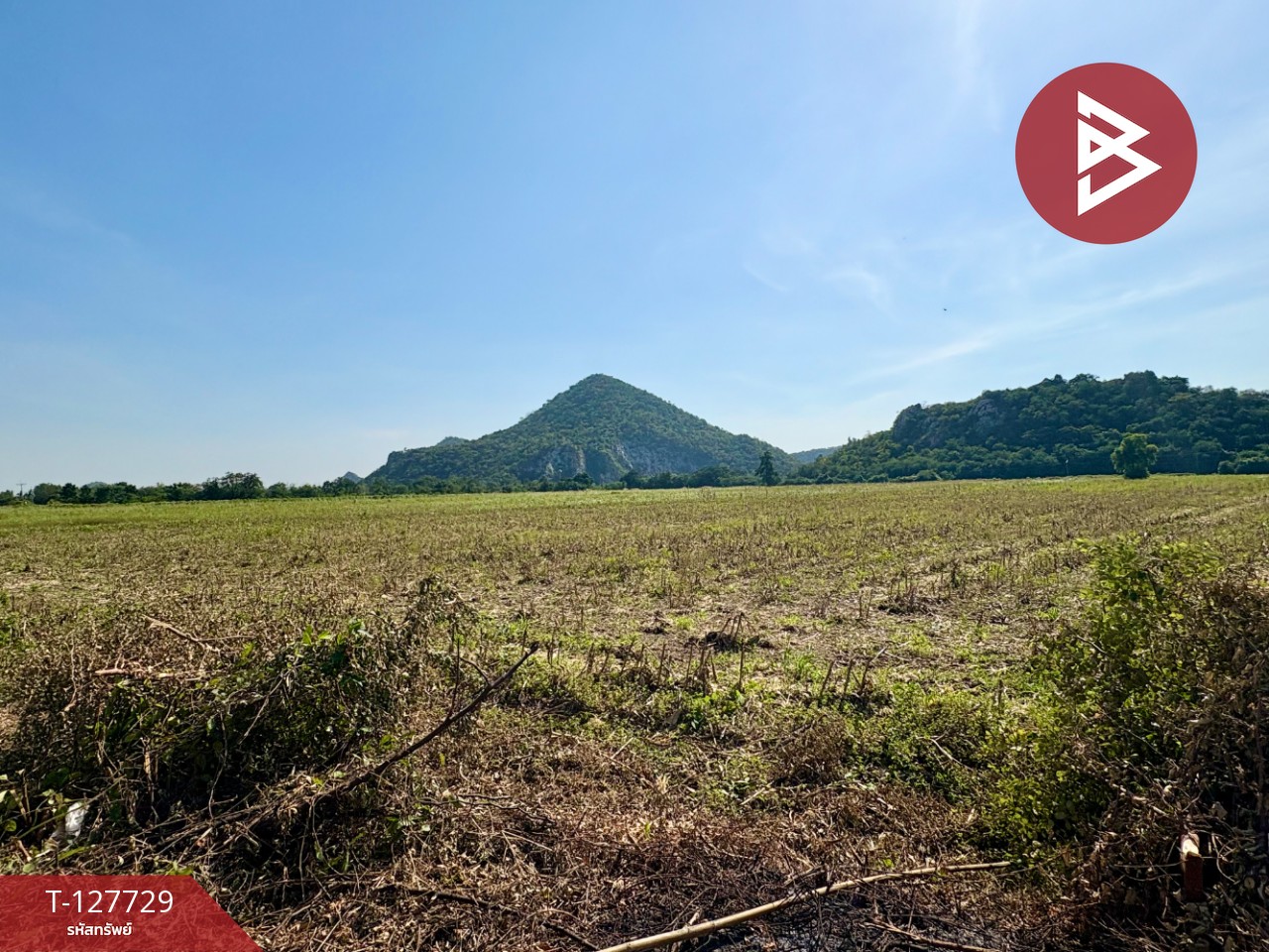 ขายที่ดินแปลงสวย เนื้อที่ 15 ไร่ 3 งาน 39.1 ตร.วา ตาคลี นครสวรรค์ 5