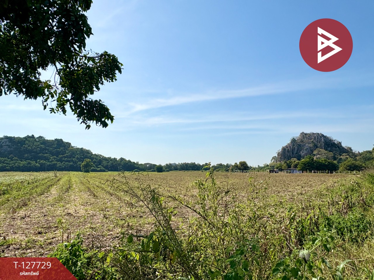 ขายที่ดินแปลงสวย เนื้อที่ 15 ไร่ 3 งาน 39.1 ตร.วา ตาคลี นครสวรรค์ 3