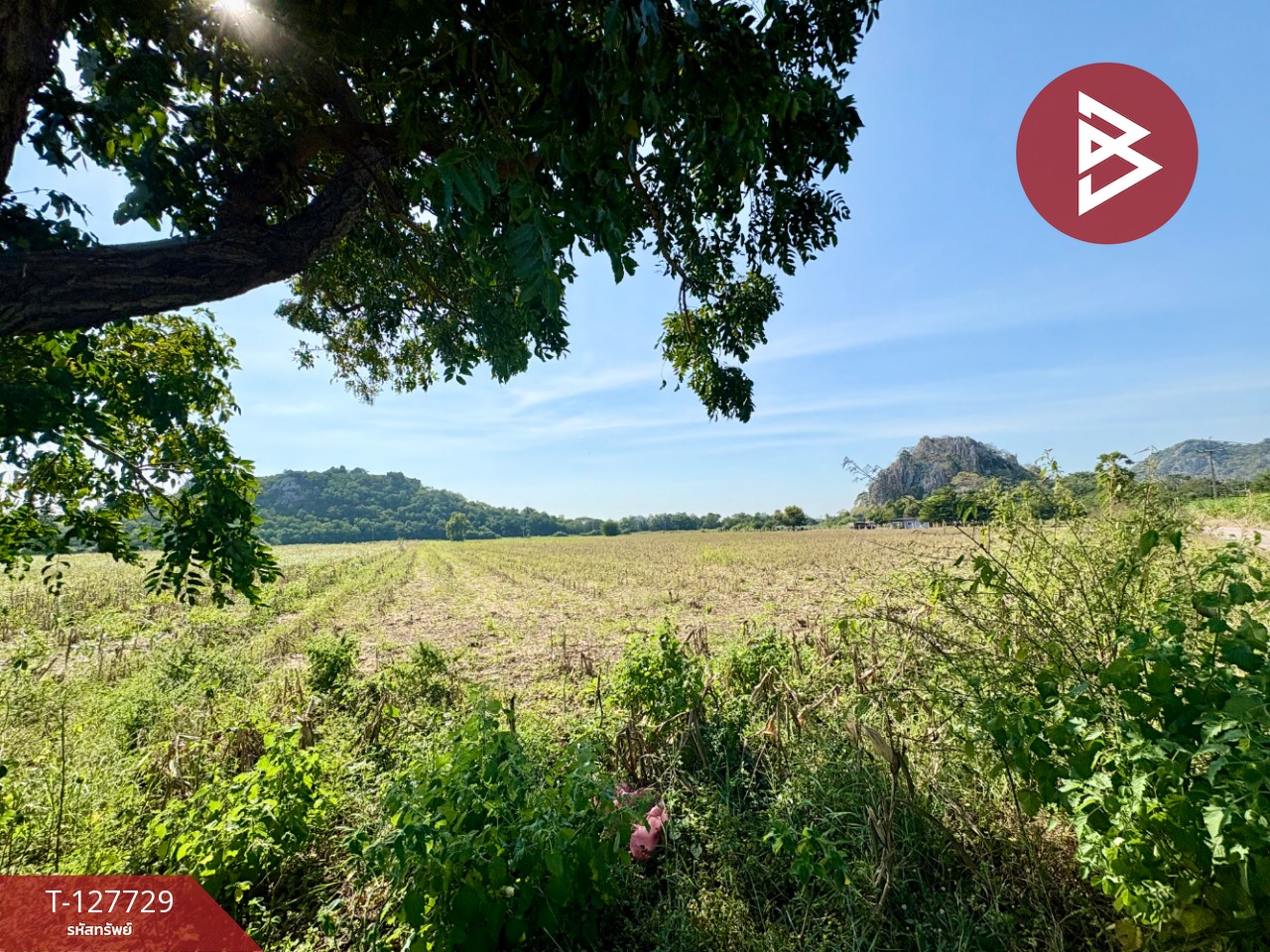 ขายที่ดินแปลงสวย เนื้อที่ 15 ไร่ 3 งาน 39.1 ตร.วา ตาคลี นครสวรรค์ 4