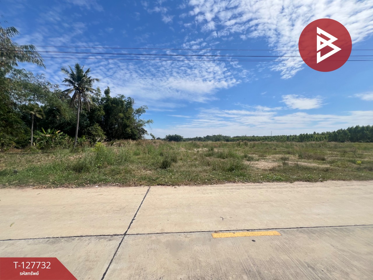 ขายที่ดิน เนื้อที่ 2 ไร่ เกาะจันทร์ ชลบุรี 3