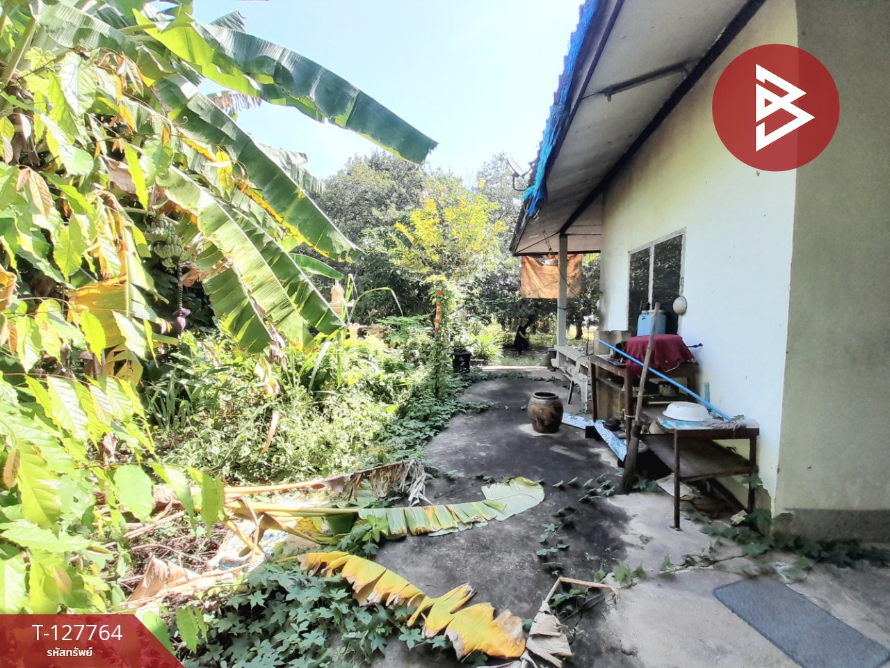 ขายด่วนบ้านเดี่ยวพร้อมที่ดิน เนื้อที่ 6 ไร่ 1 งาน 49 ตารางวา บ้านโป่ง ราชบุรี 7