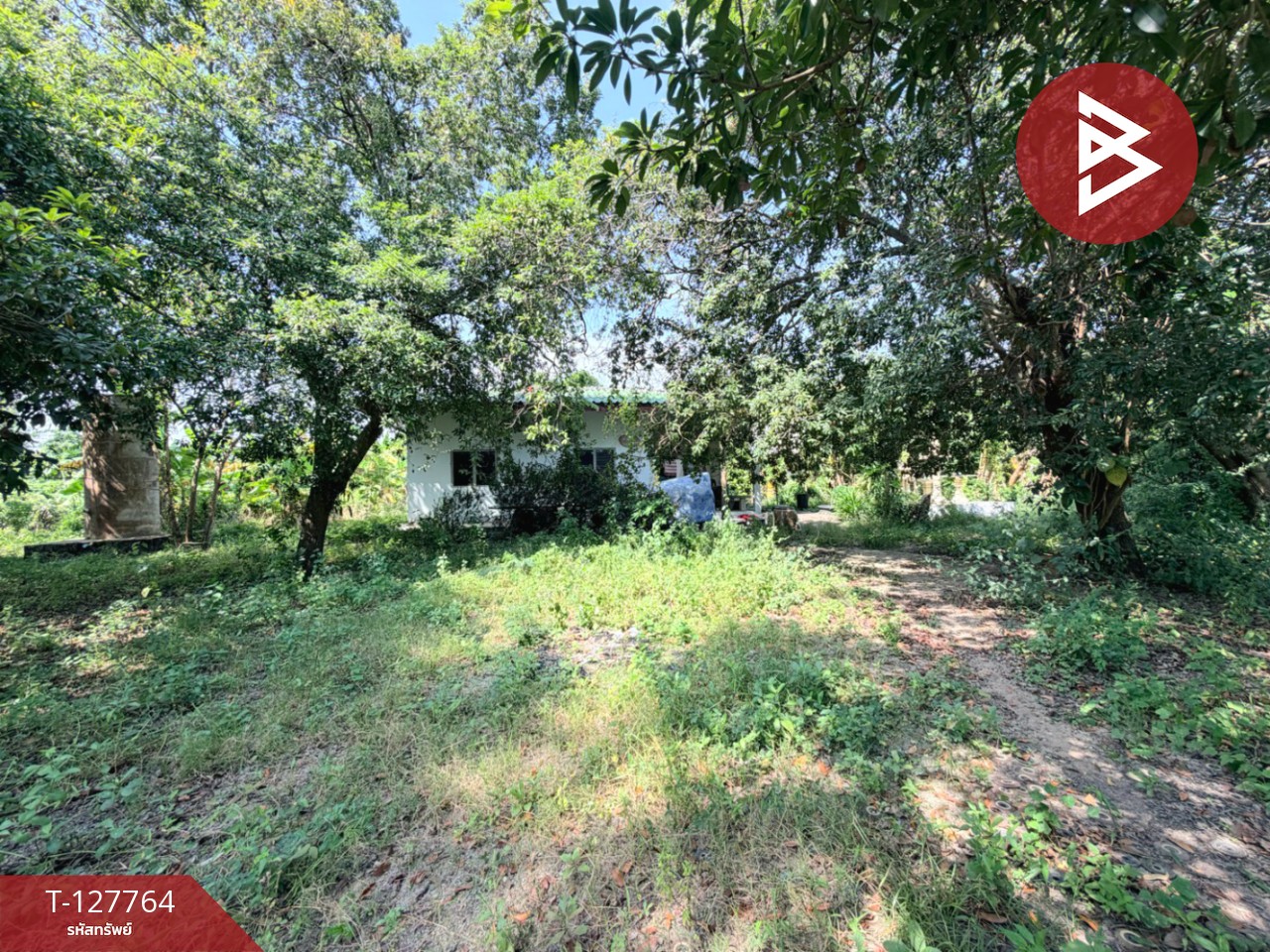 ขายด่วนบ้านเดี่ยวพร้อมที่ดิน เนื้อที่ 6 ไร่ 1 งาน 49 ตารางวา บ้านโป่ง ราชบุรี 6