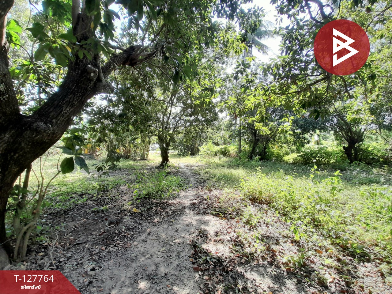 ขายด่วนบ้านเดี่ยวพร้อมที่ดิน เนื้อที่ 6 ไร่ 1 งาน 49 ตารางวา บ้านโป่ง ราชบุรี 12