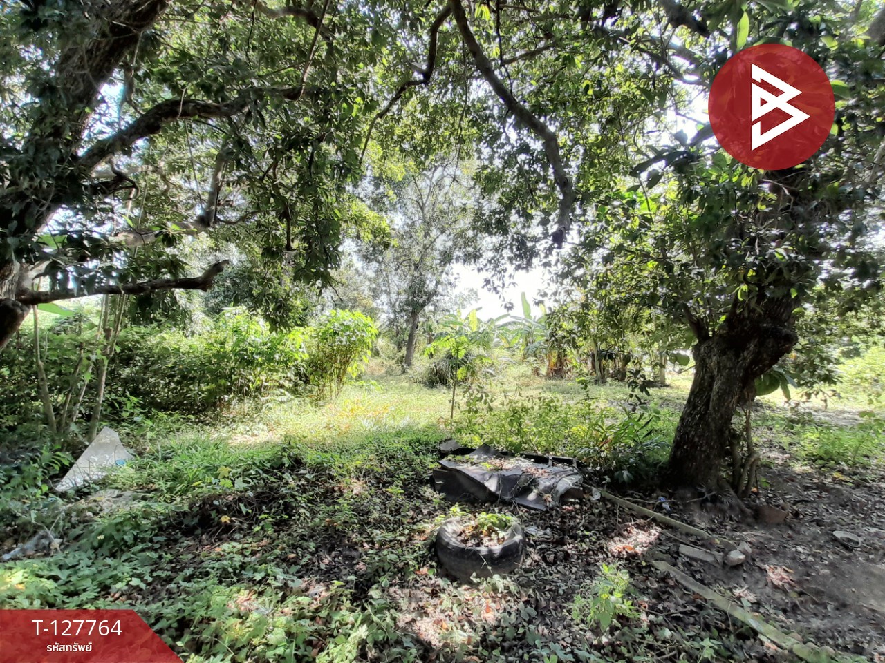 ขายด่วนบ้านเดี่ยวพร้อมที่ดิน เนื้อที่ 6 ไร่ 1 งาน 49 ตารางวา บ้านโป่ง ราชบุรี 10