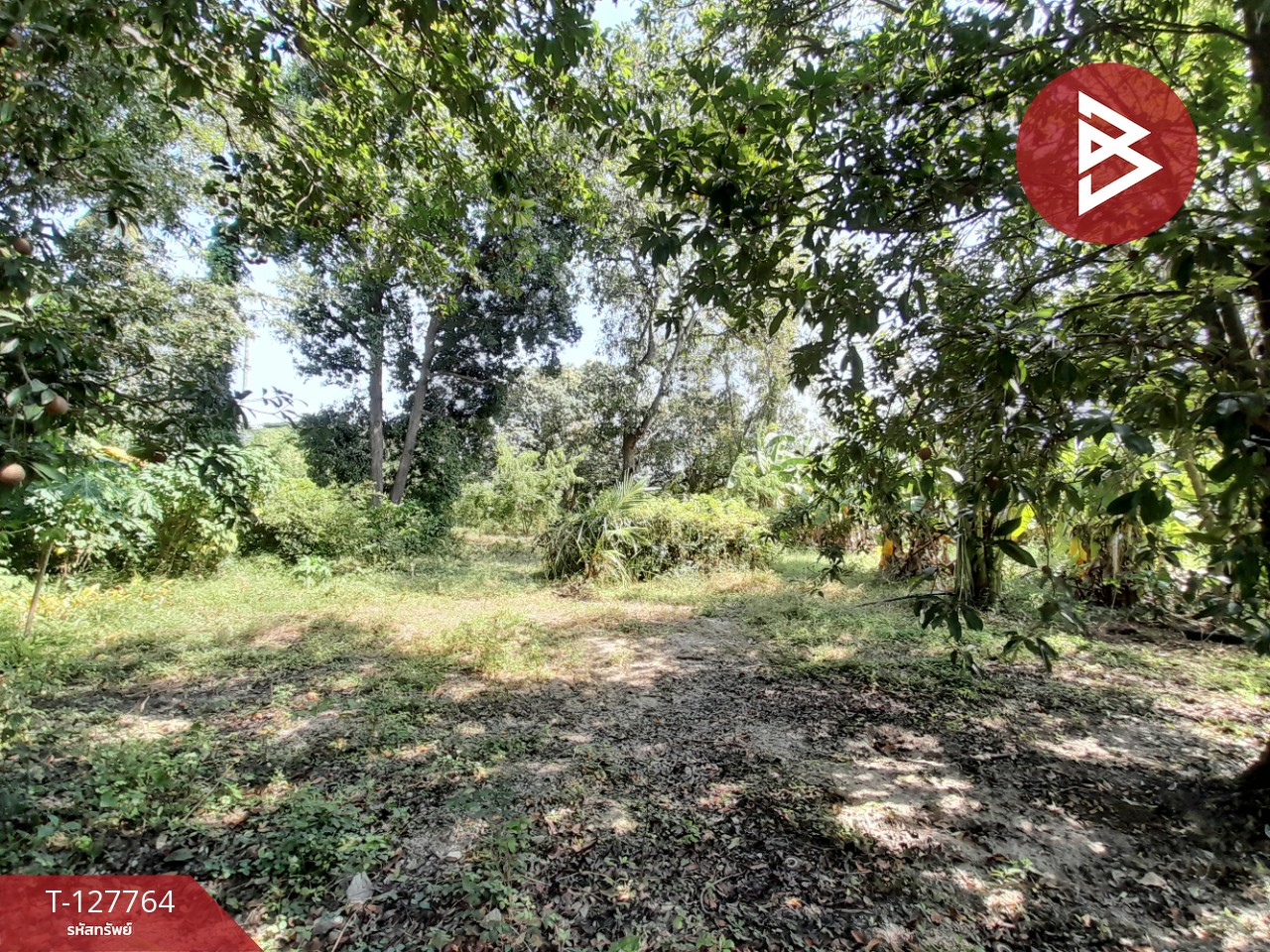 ขายด่วนบ้านเดี่ยวพร้อมที่ดิน เนื้อที่ 6 ไร่ 1 งาน 49 ตารางวา บ้านโป่ง ราชบุรี 11