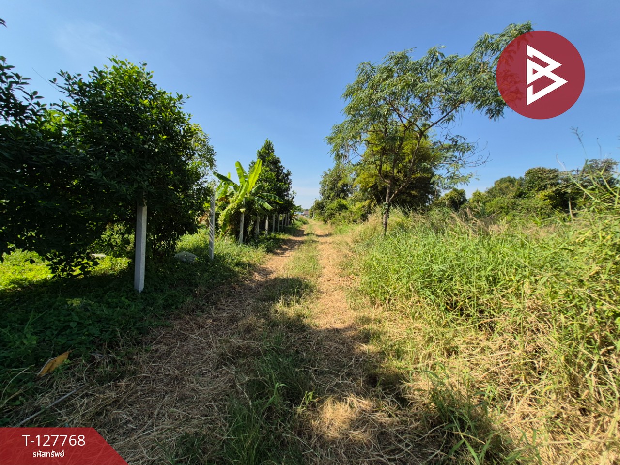 ขายที่ดิน เนื้อที่ 1 ไร่ 3.2 ตร.วา แปลงยาว ฉะเชิงเทรา 10