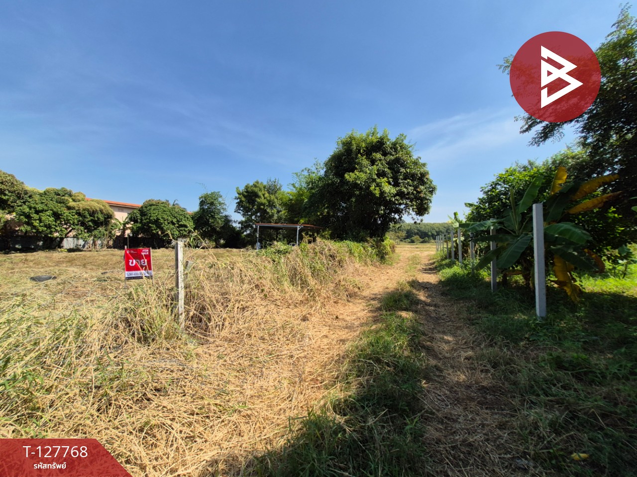 ขายที่ดิน เนื้อที่ 1 ไร่ 3.2 ตร.วา แปลงยาว ฉะเชิงเทรา 3