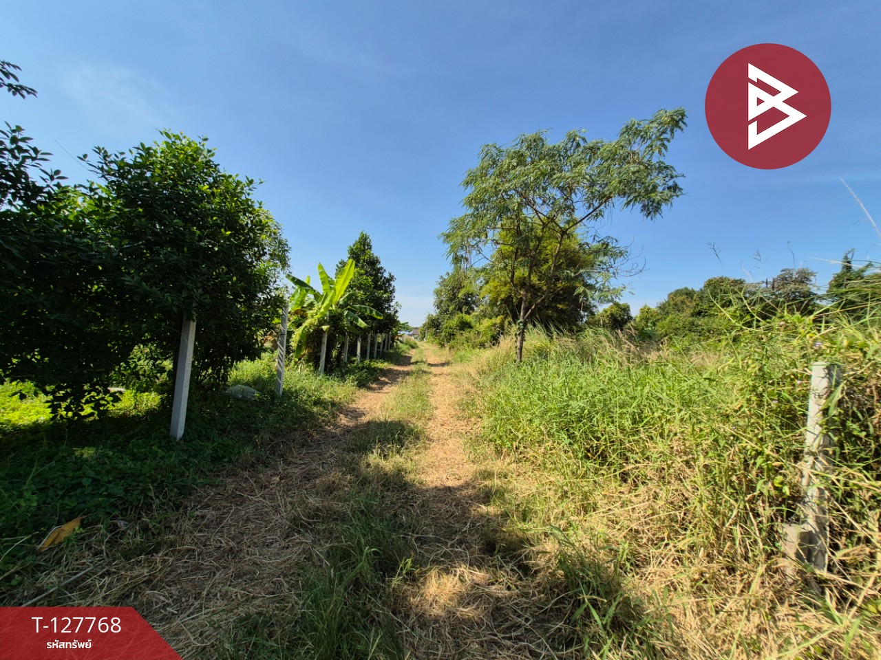 ขายที่ดิน เนื้อที่ 1 ไร่ 3.2 ตร.วา แปลงยาว ฉะเชิงเทรา 8