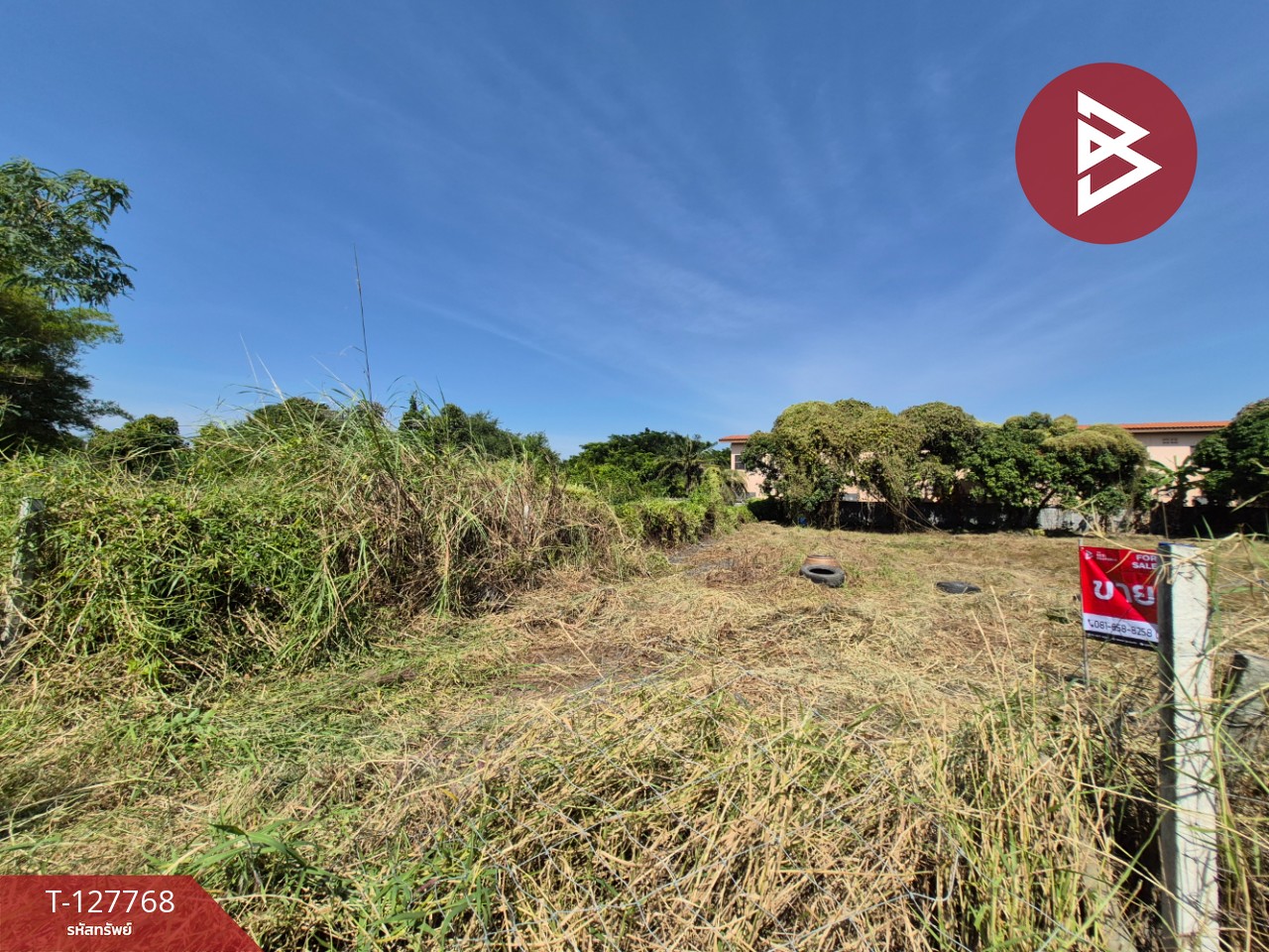 ขายที่ดิน เนื้อที่ 1 ไร่ 3.2 ตร.วา แปลงยาว ฉะเชิงเทรา 2