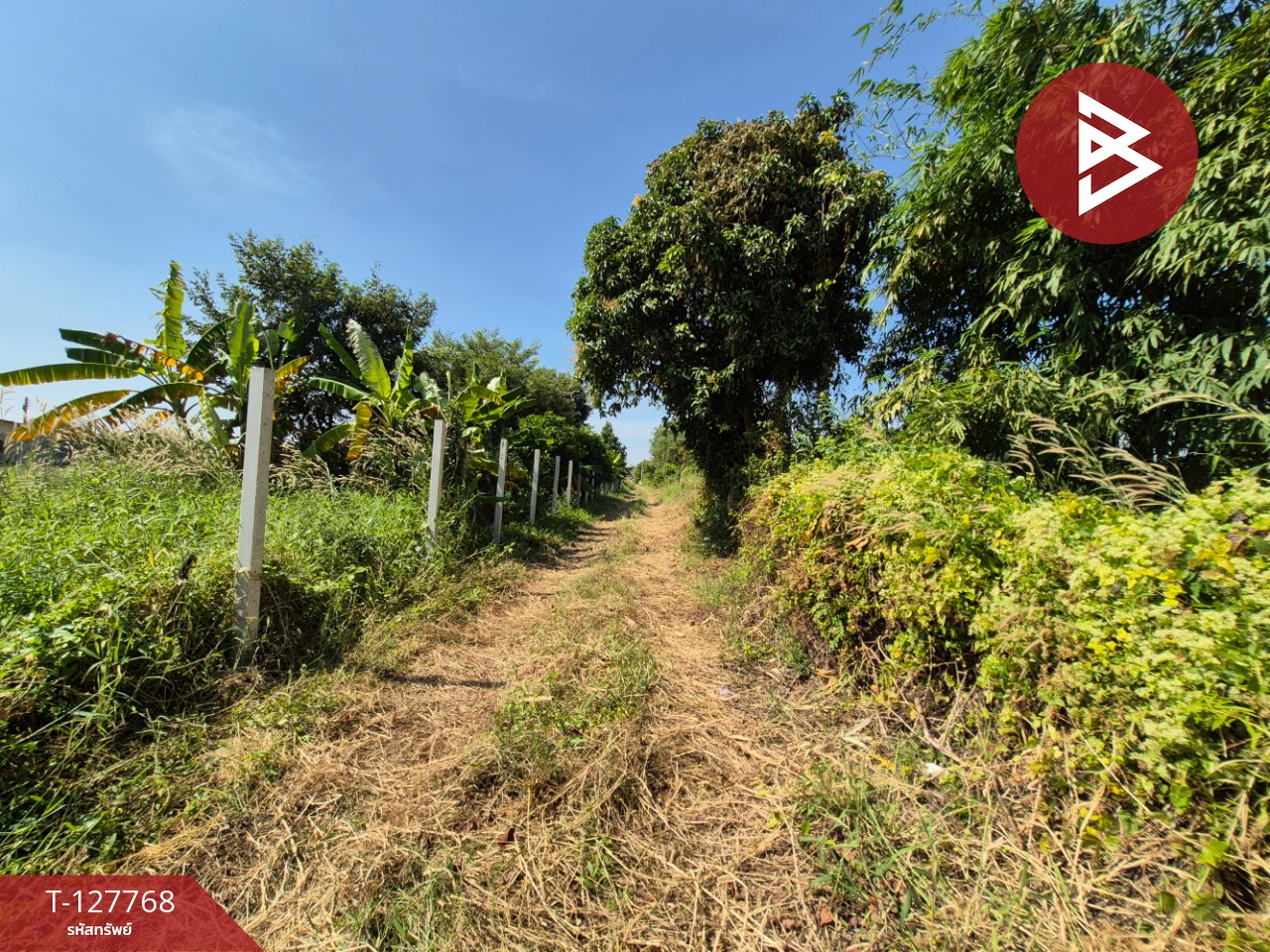 ขายที่ดิน เนื้อที่ 1 ไร่ 3.2 ตร.วา แปลงยาว ฉะเชิงเทรา 9