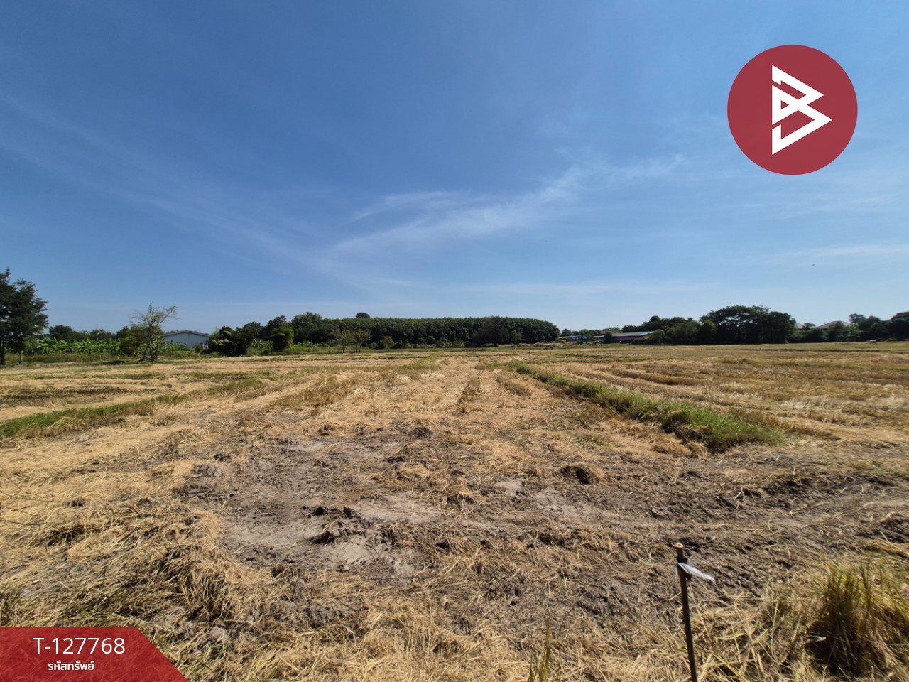 ขายที่ดิน เนื้อที่ 1 ไร่ 3.2 ตร.วา แปลงยาว ฉะเชิงเทรา 6