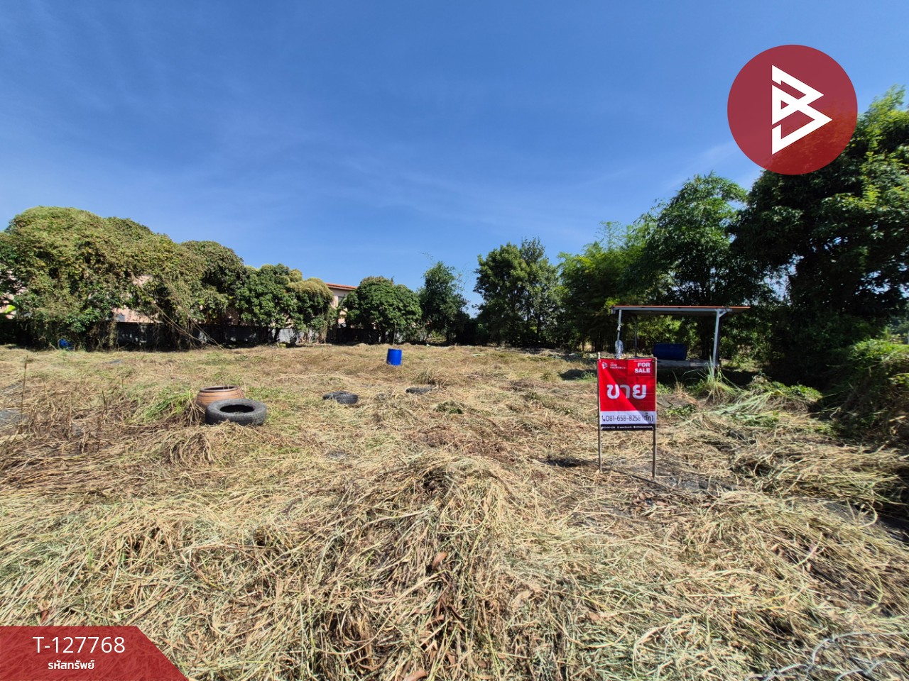 ขายที่ดิน เนื้อที่ 1 ไร่ 3.2 ตร.วา แปลงยาว ฉะเชิงเทรา 4