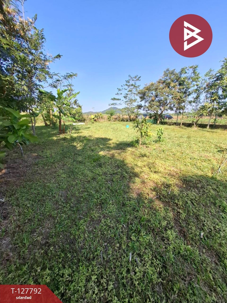 ขายที่ดิน เนื้อที่ 2 งาน 84.1 ตร.วา สันทราย เชียงราย 11