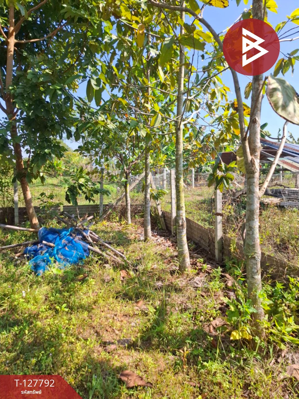 ขายที่ดิน เนื้อที่ 2 งาน 84.1 ตร.วา สันทราย เชียงราย 9