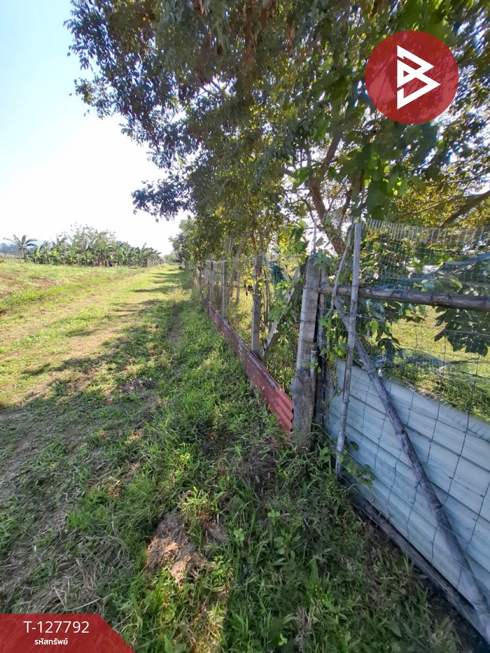 ขายที่ดิน เนื้อที่ 2 งาน 84.1 ตร.วา สันทราย เชียงราย 12