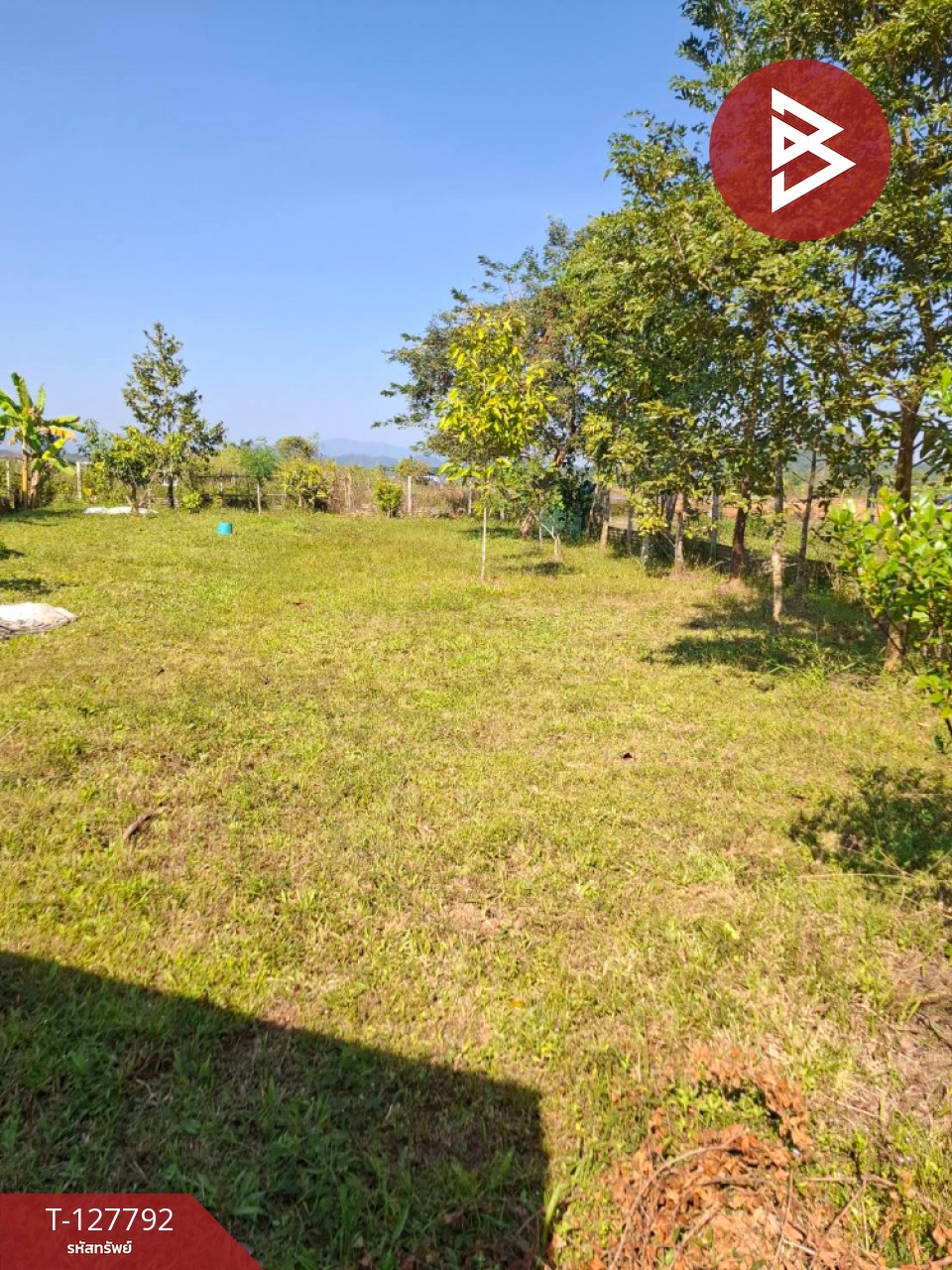 ขายที่ดิน เนื้อที่ 2 งาน 84.1 ตร.วา สันทราย เชียงราย 1