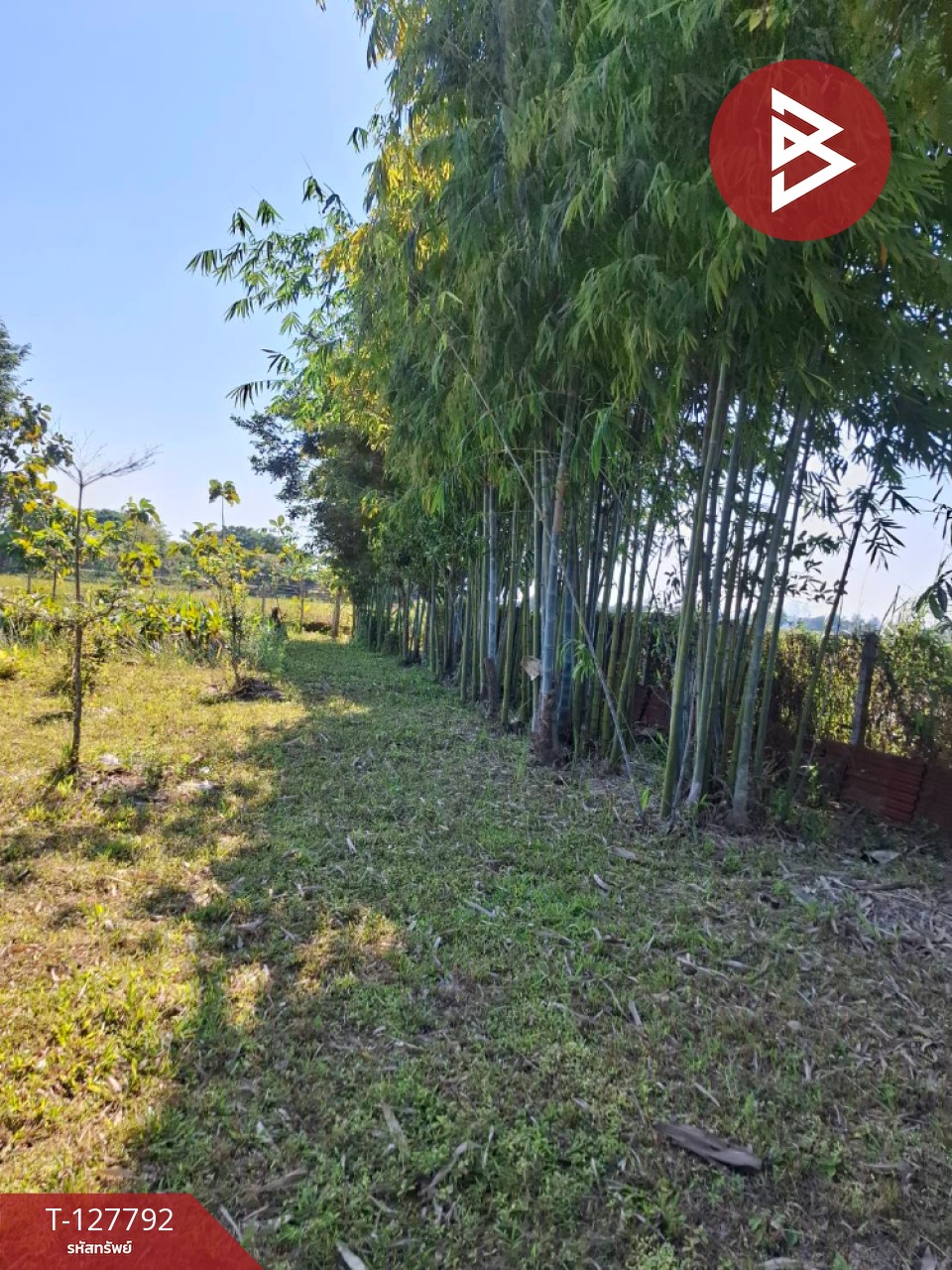 ขายที่ดิน เนื้อที่ 2 งาน 84.1 ตร.วา สันทราย เชียงราย 5