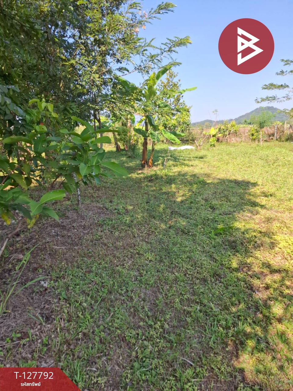 ขายที่ดิน เนื้อที่ 2 งาน 84.1 ตร.วา สันทราย เชียงราย 7