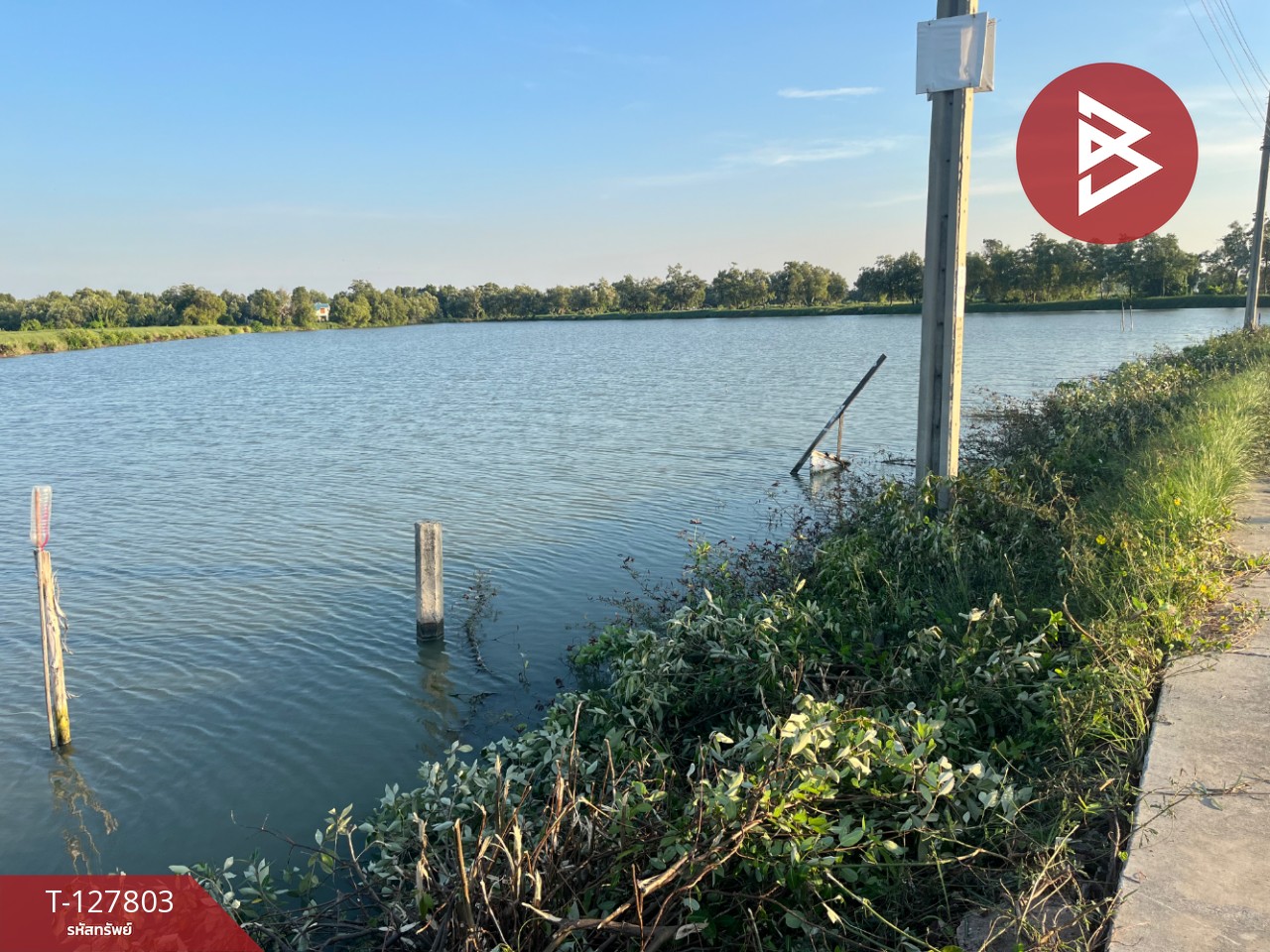 ขายที่ดิน เนื้อที่ 6 ไร่ 57.7 ตร.วา พระสมุทรเจดีย์ สมุทรปราการ 3