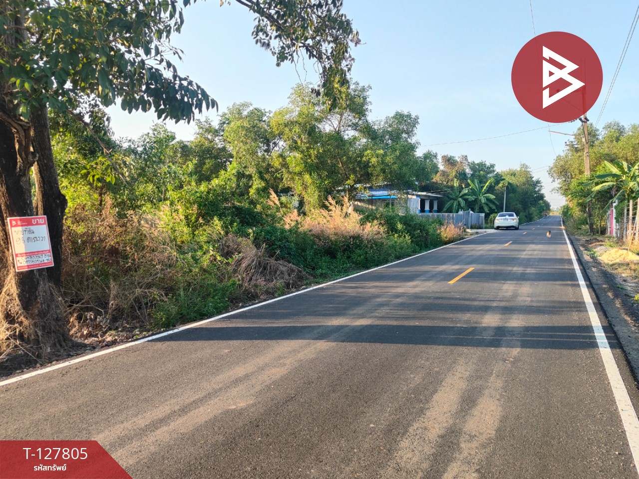 ขายที่ดิน เนื้อที่ 98 ตารางวา บางน้ำเปรี้ยว ฉะเชิงเทรา 5