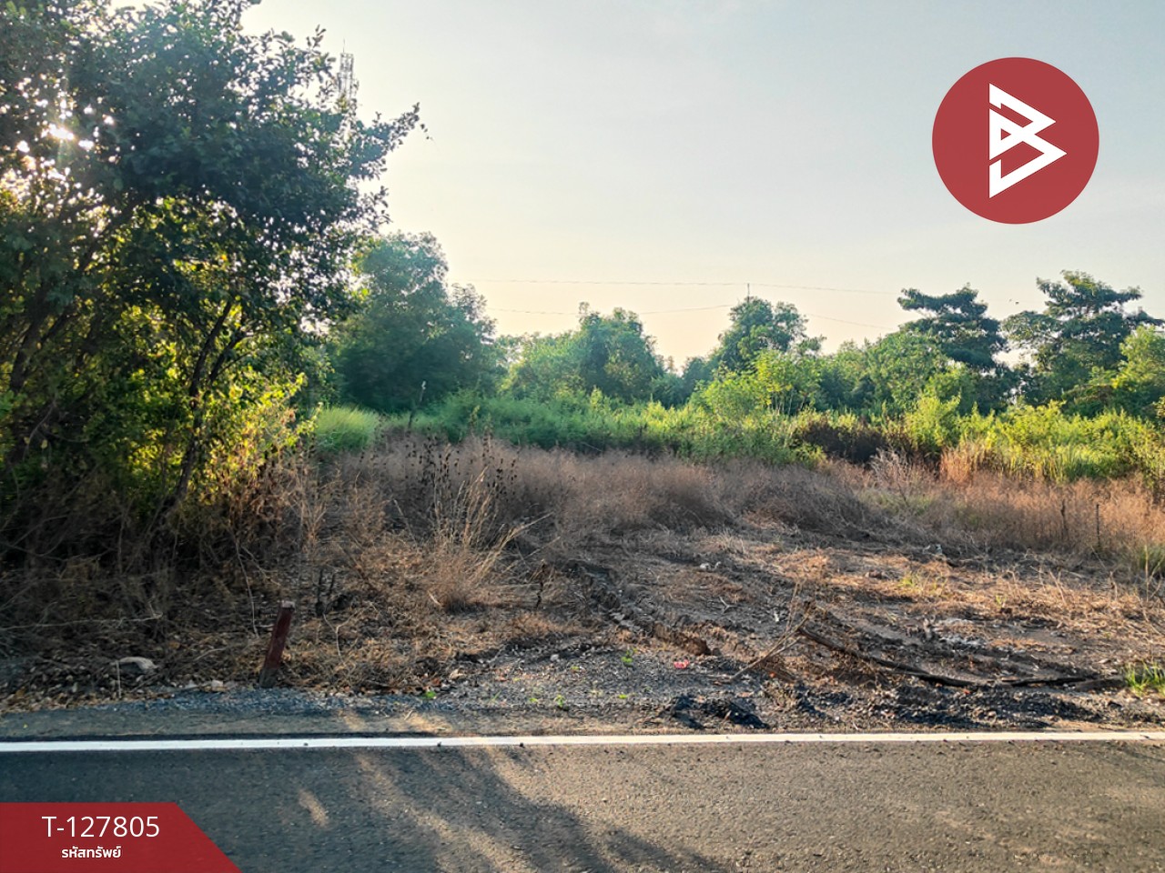 ขายที่ดิน เนื้อที่ 98 ตารางวา บางน้ำเปรี้ยว ฉะเชิงเทรา 3