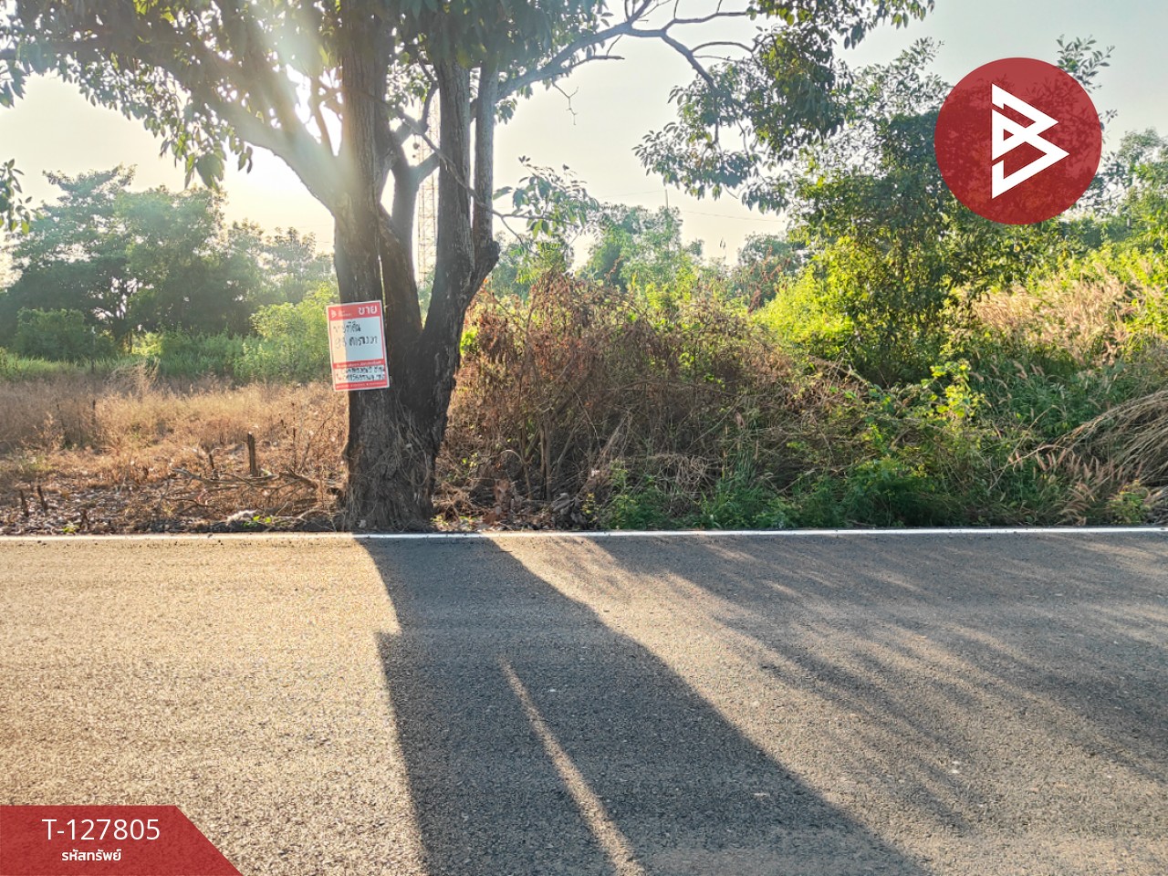 ขายที่ดิน เนื้อที่ 98 ตารางวา บางน้ำเปรี้ยว ฉะเชิงเทรา 6