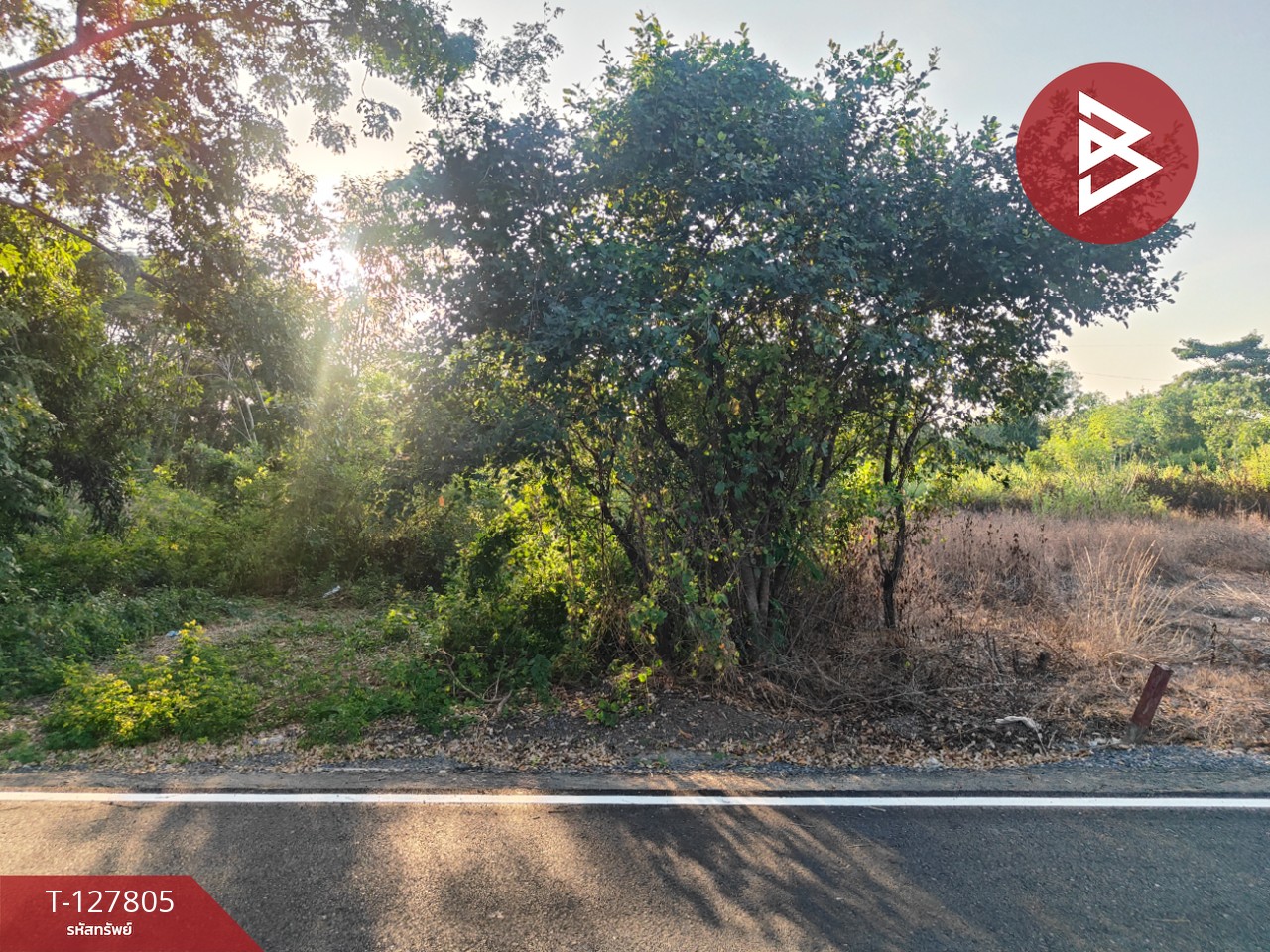 ขายที่ดิน เนื้อที่ 98 ตารางวา บางน้ำเปรี้ยว ฉะเชิงเทรา 4