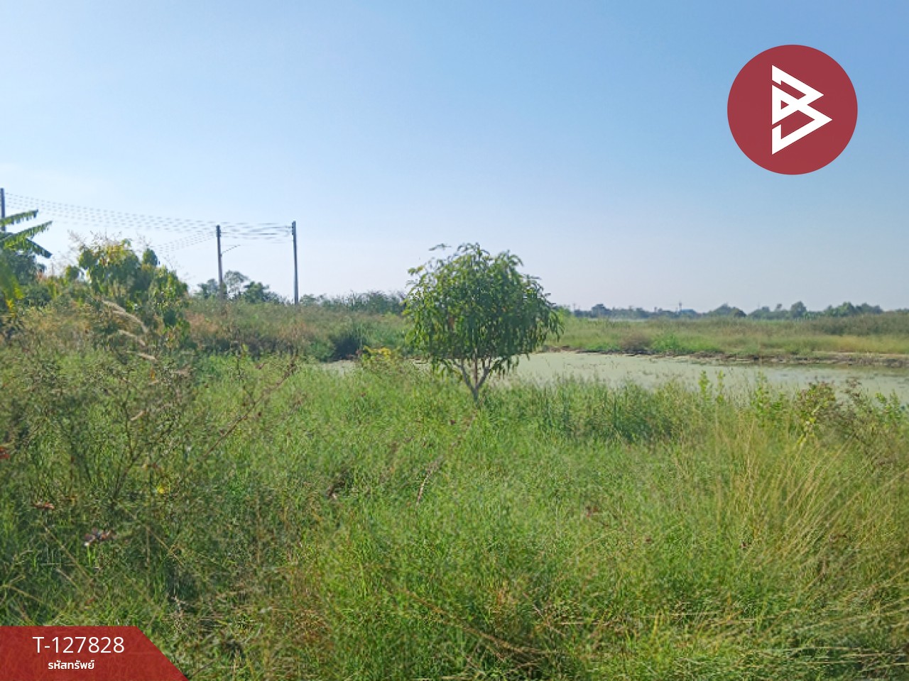 ขายที่ดิน เนื้อที่ 94 ตร.วา ต. เสม็ตใต้ ฉะเชิงเทรา 2