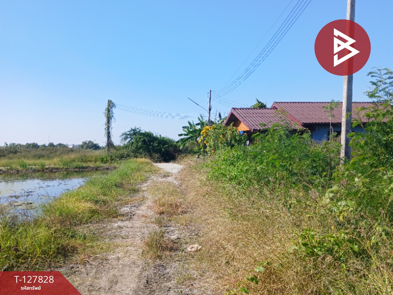 ขายที่ดิน เนื้อที่ 94 ตร.วา ต. เสม็ตใต้ ฉะเชิงเทรา 4