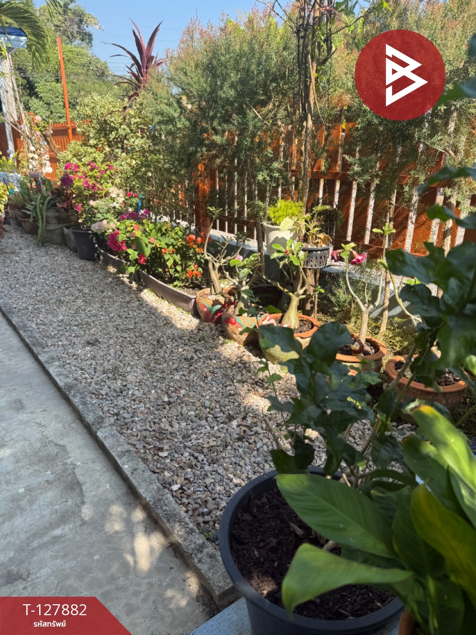 ขายบ้านเดี่ยว เนื้อที่ 85.9 ตารางวา นางตะเคียน สมุทรสงคราม 13