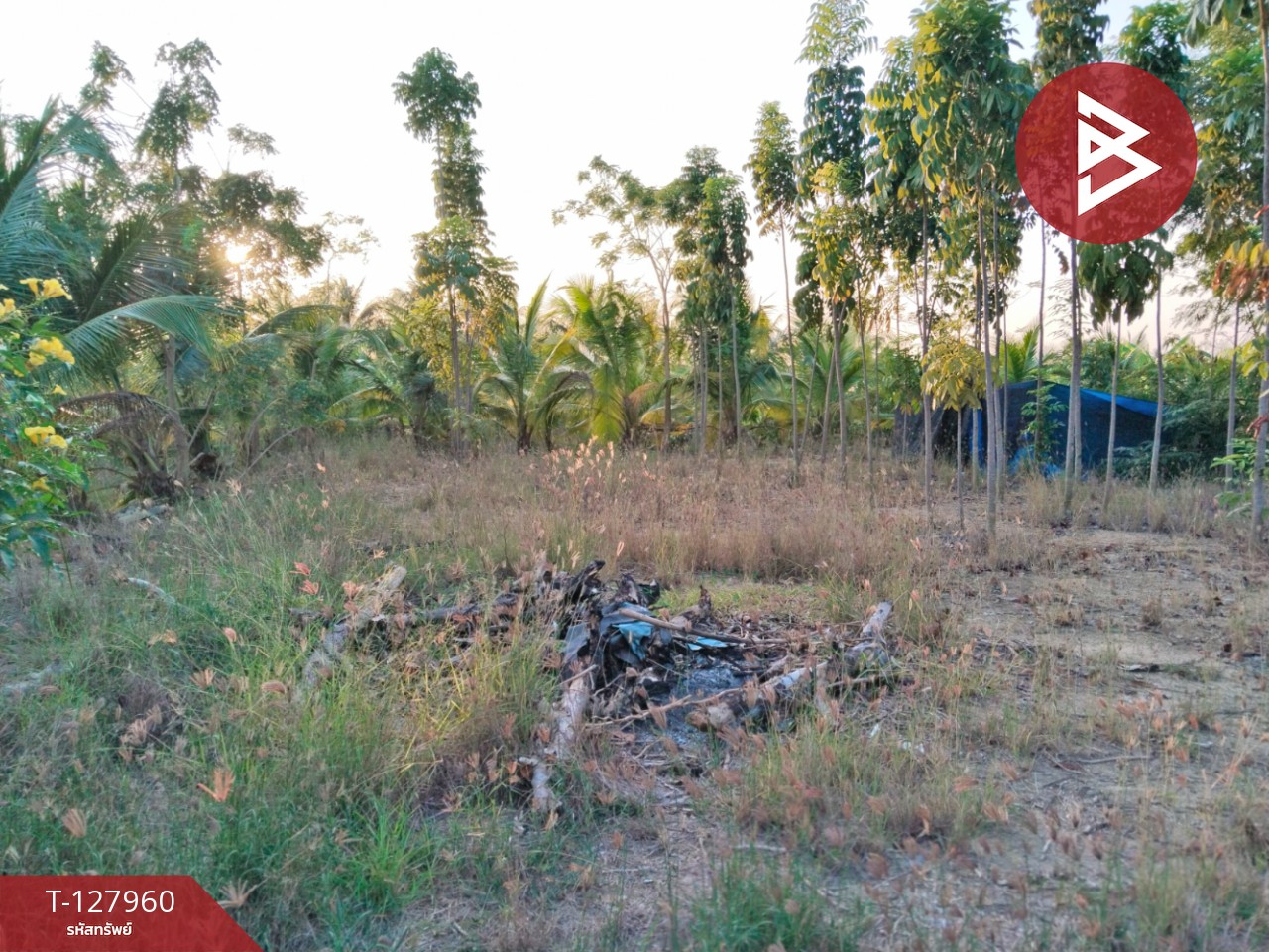 ขายที่ดิน เนื้อที่ 2 ไร่ 83.4 ตร.วา สามพราน นครปฐม 2