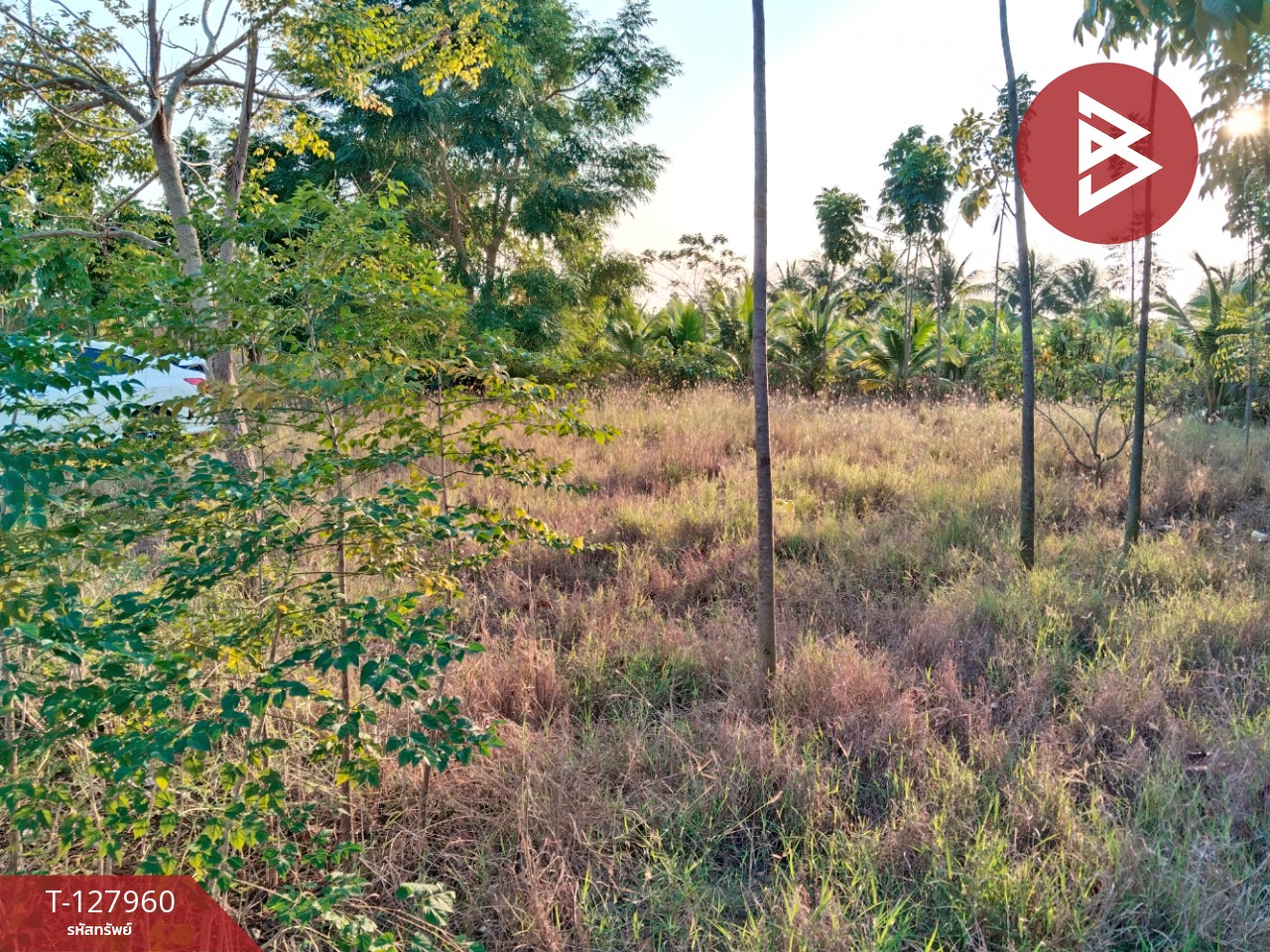 ขายที่ดิน เนื้อที่ 2 ไร่ 83.4 ตร.วา สามพราน นครปฐม 5