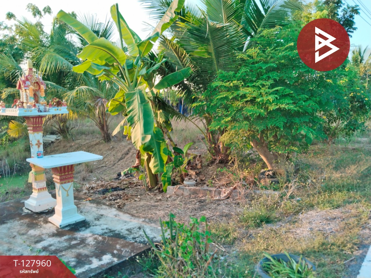 ขายที่ดิน เนื้อที่ 2 ไร่ 83.4 ตร.วา สามพราน นครปฐม 6