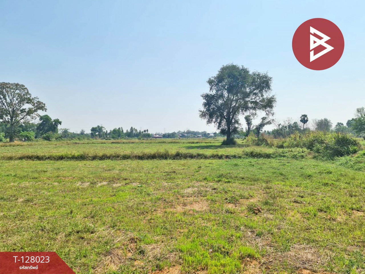 ขายที่ดิน เนื้อที่ 13 ไร่ 1 งาน 16.4 ตร.วา หนองเรือ ขอนแก่น 3