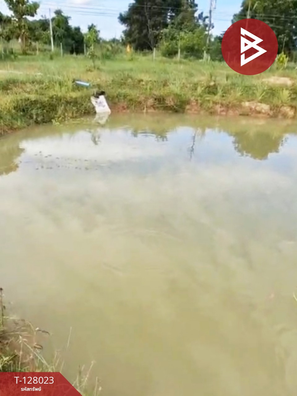 ขายที่ดิน เนื้อที่ 13 ไร่ 1 งาน 16.4 ตร.วา หนองเรือ ขอนแก่น 13