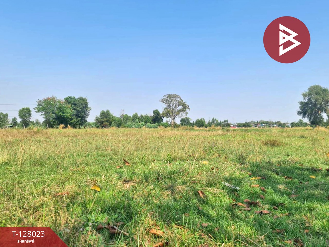 ขายที่ดิน เนื้อที่ 13 ไร่ 1 งาน 16.4 ตร.วา หนองเรือ ขอนแก่น 1