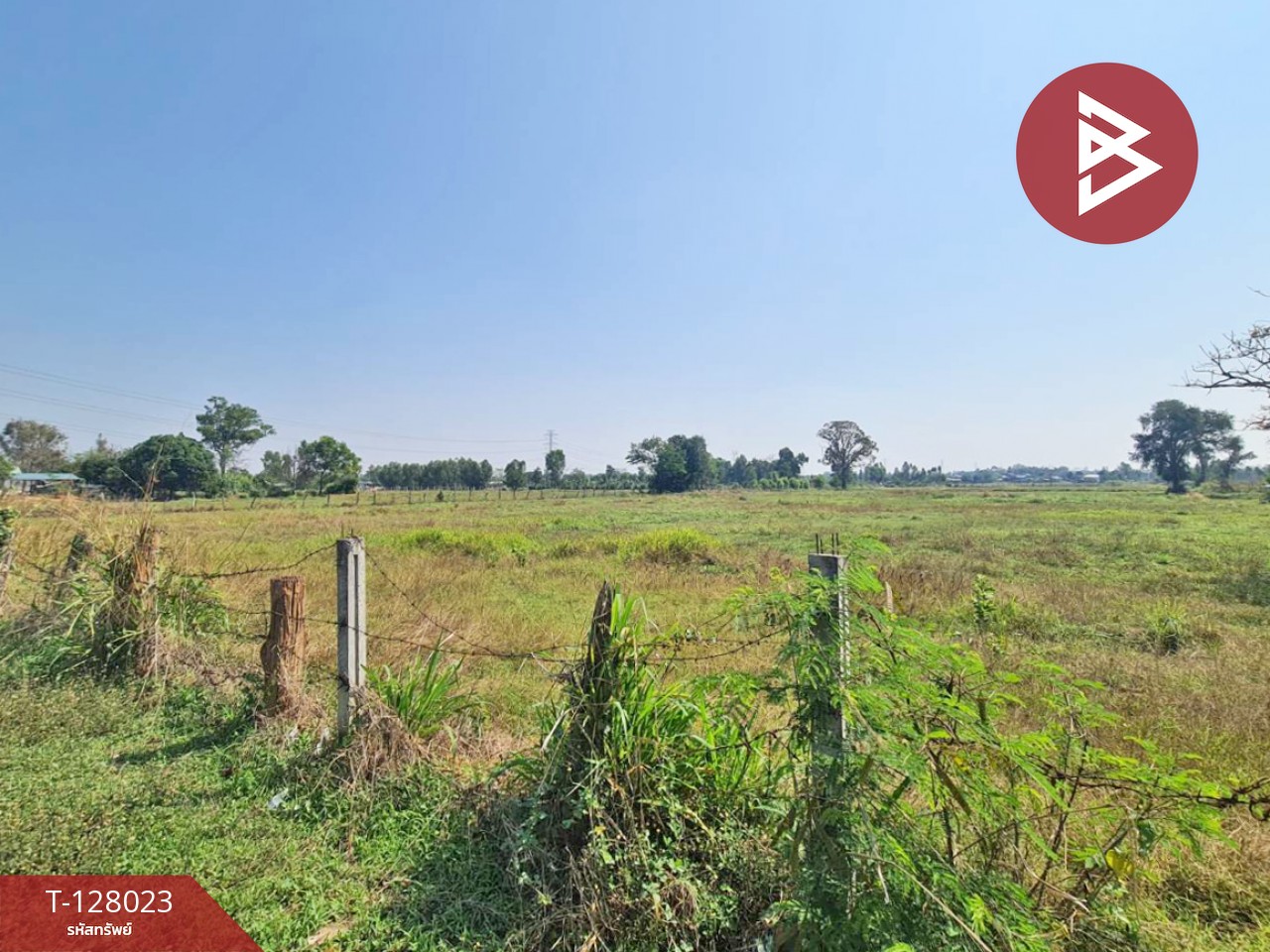 ขายที่ดิน เนื้อที่ 13 ไร่ 1 งาน 16.4 ตร.วา หนองเรือ ขอนแก่น 4