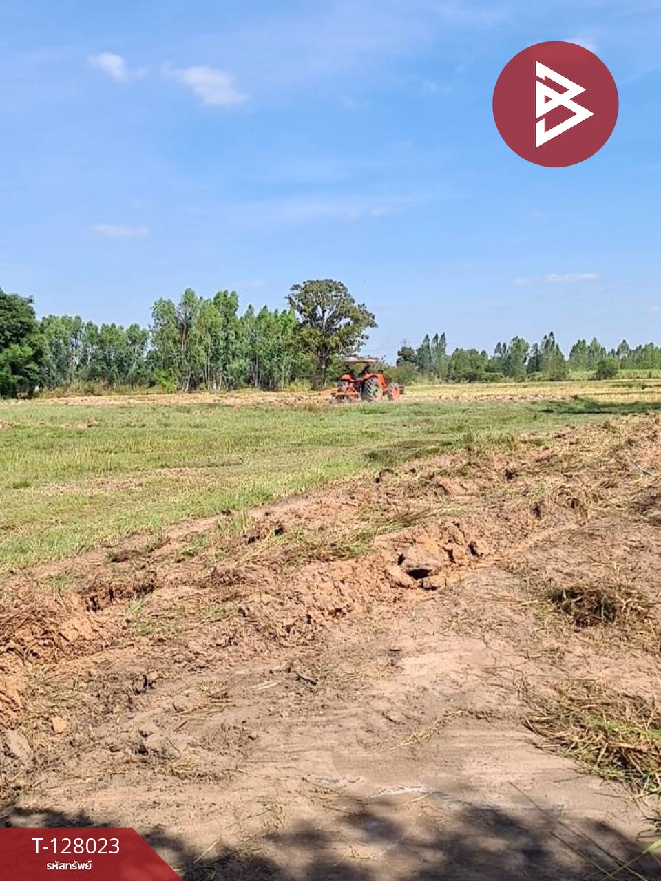 ขายที่ดิน เนื้อที่ 13 ไร่ 1 งาน 16.4 ตร.วา หนองเรือ ขอนแก่น 6