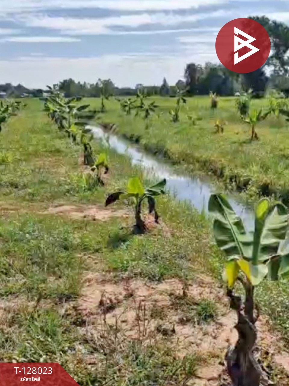 ขายที่ดิน เนื้อที่ 13 ไร่ 1 งาน 16.4 ตร.วา หนองเรือ ขอนแก่น 11