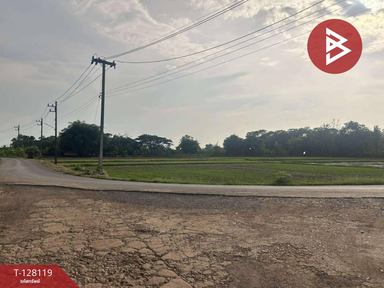 ขายที่ดิน เนื้อที่ 6 ไร่ 68 ตร.วา ท่าบ่อ หนองคาย 3