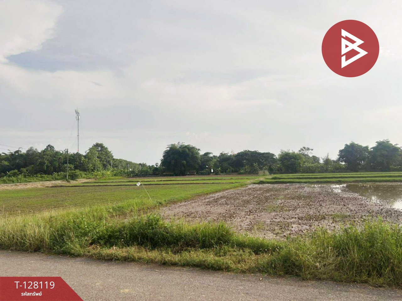 ขายที่ดิน เนื้อที่ 6 ไร่ 68 ตร.วา ท่าบ่อ หนองคาย 1