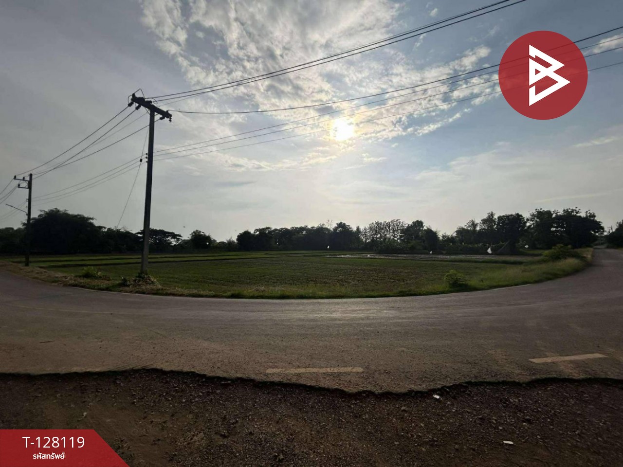 ขายที่ดิน เนื้อที่ 6 ไร่ 68 ตร.วา ท่าบ่อ หนองคาย 2